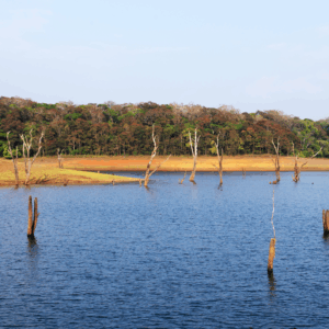 Periyar lake